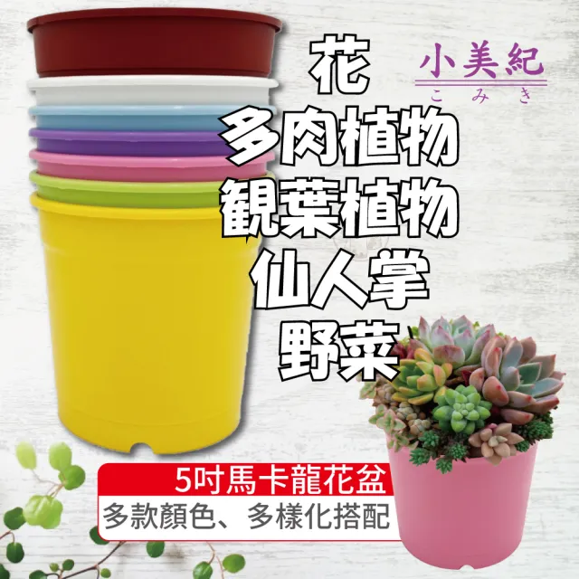 【小美紀】5寸馬卡龍圓盆(5寸花盆 彩色栽培盆 換盆 馬卡龍花盆 花園 多肉花盆 種植 植物 育苗)