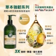 【L’Occitane 歐舒丹】官方直營 草本潤髮系列-6款任選(250ml)