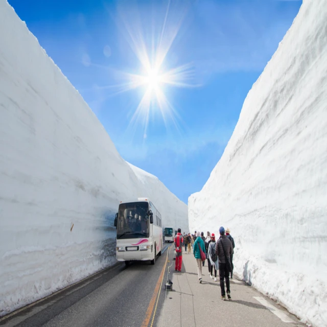 喜鴻假期 【北陸雪大谷．賞花三重奏７日】立山黑部、童話合掌村、上高地秘境美景、庄川遊船、松本城