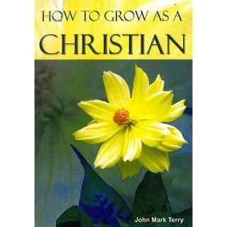 【momoBOOK】How to Grow as a christian(電子書)