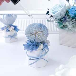 【Floral M】彩虹泡泡香氛擴香花藍色(擴香花/香氛花/花禮/香水精油/居家香氛/桌上裝飾/送禮)