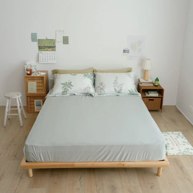 翔仔居家 JIS日規 98D 法國產灰鵝絨冬被(雙人)優惠推