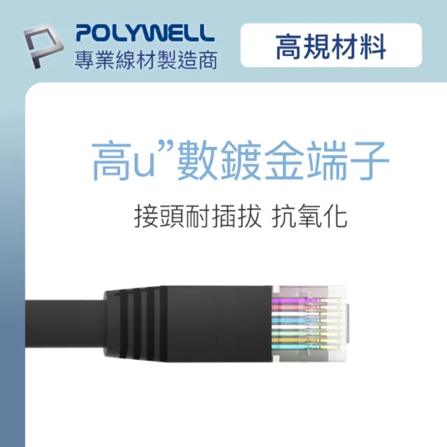 【POLYWELL】CAT6A 高速網路扁線 /0.3M