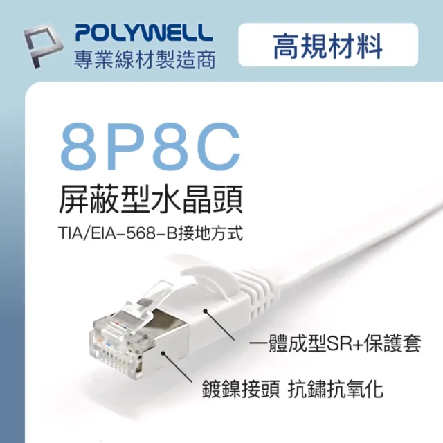 【POLYWELL】CAT6A 高速網路扁線 /1M
