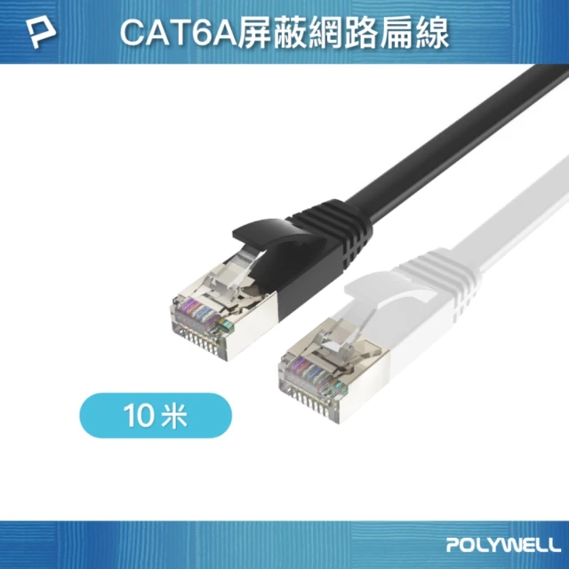 POLYWELL CAT6A 高速網路扁線 /10M