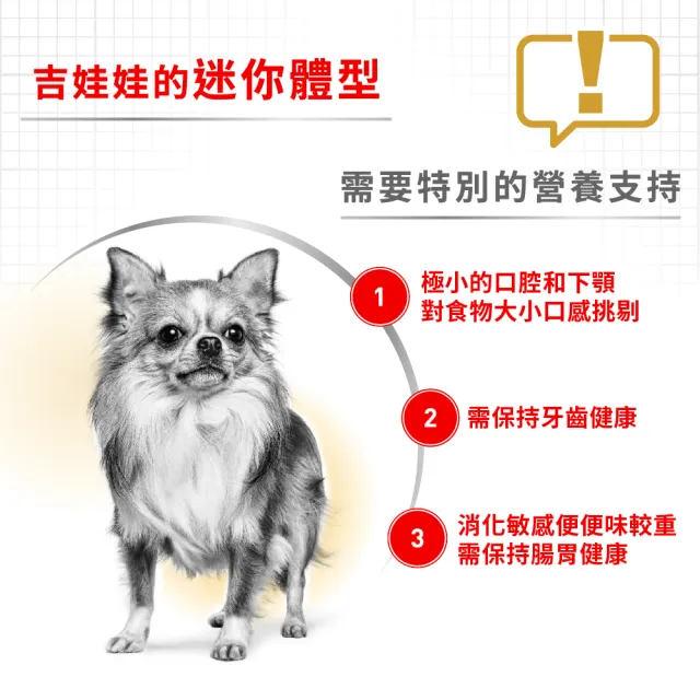 【ROYAL 法國皇家】吉娃娃成犬專用飼料 CHA 1.5KG(狗乾糧 狗飼料)