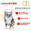 【ROYAL 法國皇家】吉娃娃成犬專用飼料 CHA 1.5KG(狗乾糧 狗飼料)