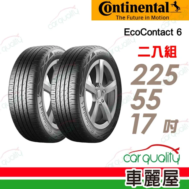 Continental 馬牌 Continental 馬牌 輪胎馬牌 D9 ECO6-2255517吋_二入組