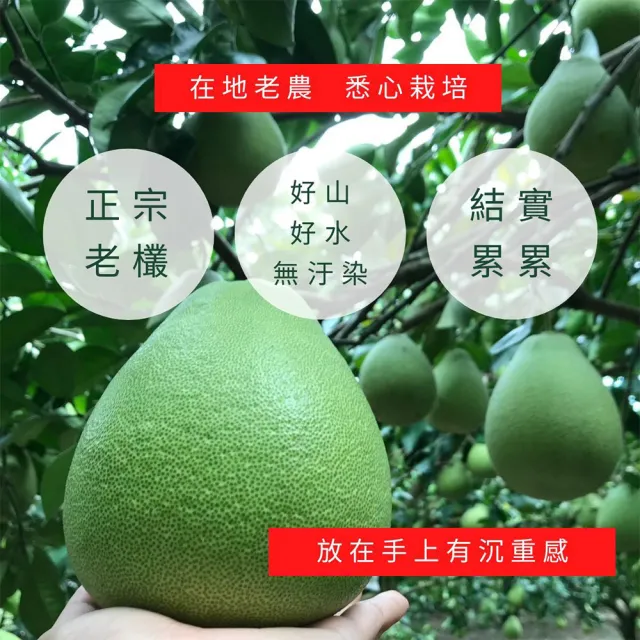 花蓮鶴岡60年老欉文旦禮盒10斤×2箱(大果7-9顆/箱_外銷等級_中秋禮盒_企業採購 柚子)