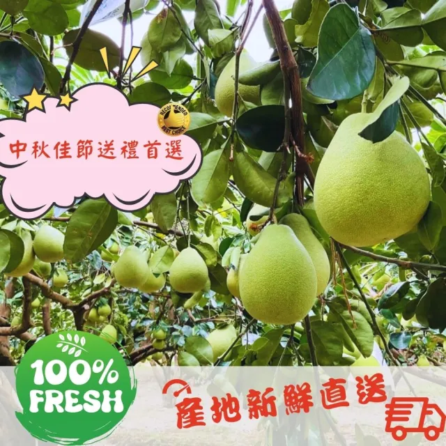 花蓮鶴岡60年老欉文旦禮盒10斤×2箱(大果7-9顆/箱_外銷等級_中秋禮盒_企業採購 柚子)