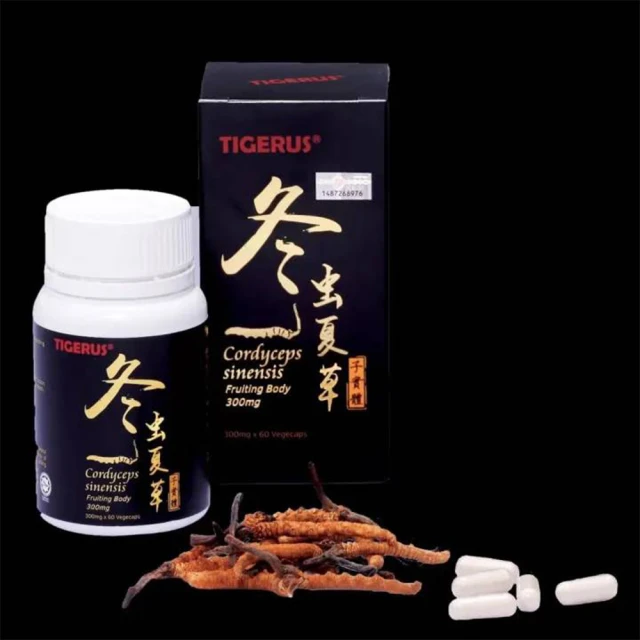 TIGERUS 冬蟲夏草子實體膠囊2入組(300mg x 60粒 x 2 素食膠囊)