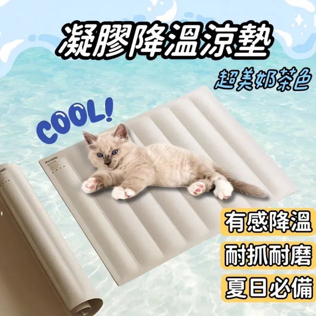 【Petvibe】寵物降溫凝膠涼墊M號(寵物涼墊/寵物降溫涼墊/寵物墊/狗涼墊/狗狗涼墊/貓咪涼墊/寵物涼感窩)