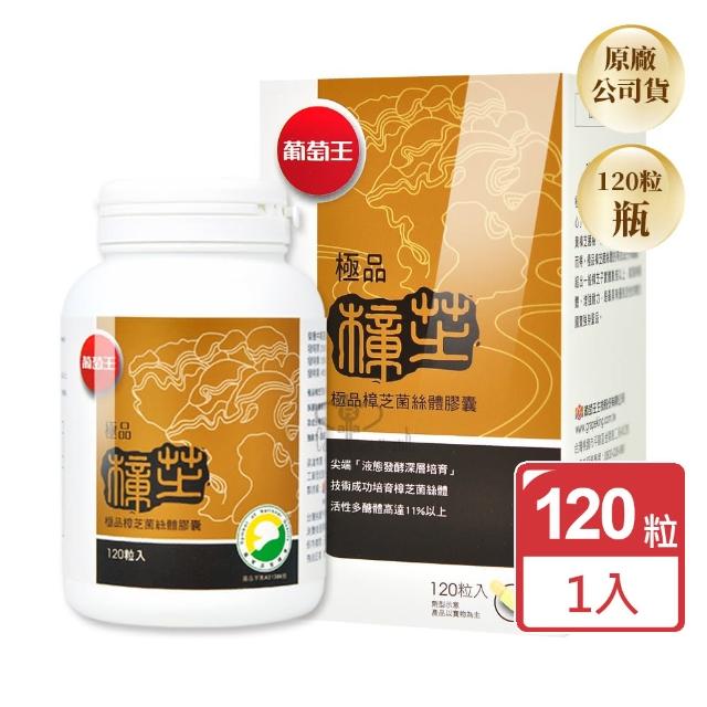 【葡萄王】極品樟芝菌絲體膠囊120粒/瓶(多醣體含量11%以上)