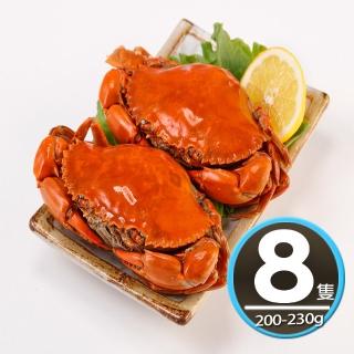 【華得水產】熟凍爆蛋紅蟳8隻組(200-230g/隻)