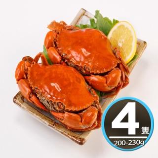 【華得水產】熟凍爆蛋紅蟳4隻組(200-230g/隻)
