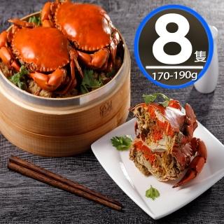 【華得水產】熟凍爆蛋紅蟳8隻組(170-190g/隻)