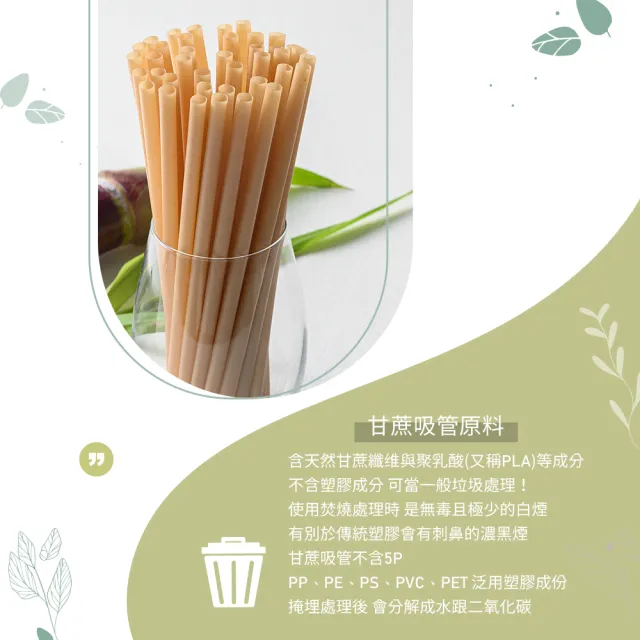 【100%植】環保標章認證吸管 環保吸管 甘蔗吸管6*210mm 50入