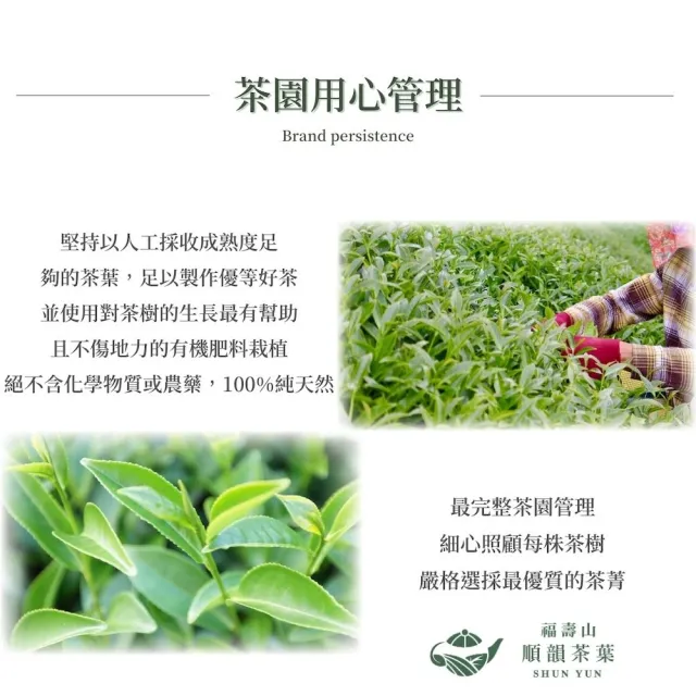 【順韻茶葉】梨山精選高冷茶一斤組75g x 8包(共1斤)