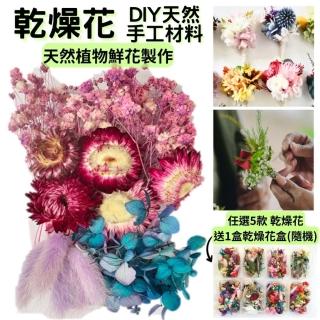 【A-ONE 匯旺】乾燥花 永生花 DIY材料包 超值福包 短枝花材 花藝 矮生花卉 永生花拍 果實(A11)