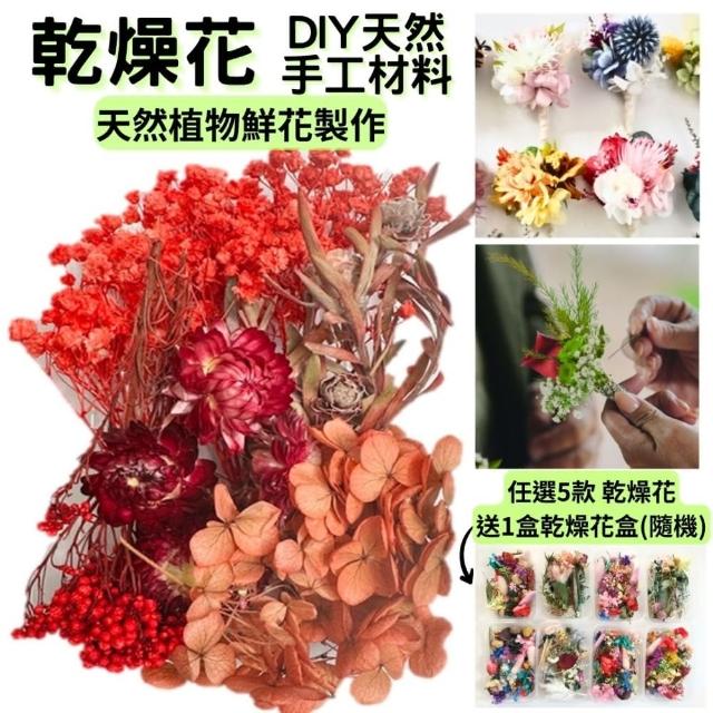 【A-ONE 匯旺】乾燥花材料包 壓花 DIY花材 花藝材料永生花 不凋花 浮游花 香薰蠟燭 浮油花 花材(A13)