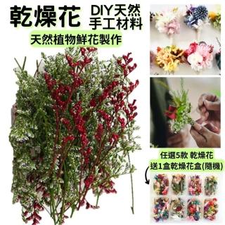 【A-ONE 匯旺】永生情人草 DIY天然乾燥花 永生花材料包 植物果實 花材 花藝 不凋花 聖誕拍照 乾花(A20)