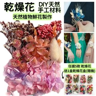 【A-ONE 匯旺】DIY天然乾燥花 永生花材料包 綜合乾燥花盒 香薰蠟燭 天然乾燥花 植物果實 短枝 碎花(B08)