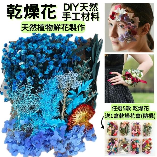 【A-ONE 匯旺】DIY藍色永生花材料包 多款多色 乾燥花材料包 情人節禮物 乾燥玫瑰 短枝花材 浮游花(C02)