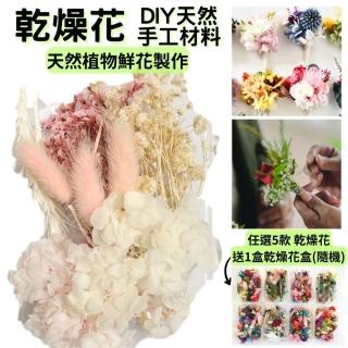 【A-ONE 匯旺】乾燥花材 DIY材料包 乾燥花盒 花材 花藝材料包 永生花 花藝 乾燥花 不凋花 乾花