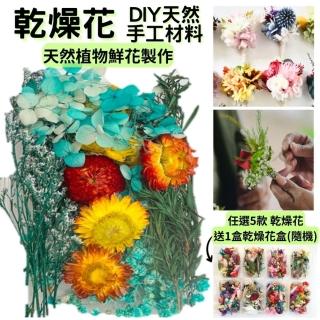 【A-ONE 匯旺】乾燥花材料包 永生花 浮油花 乾燥花DIY 乾燥花藝教學 自然乾燥花材料包 乾燥花材料禮盒(A03)