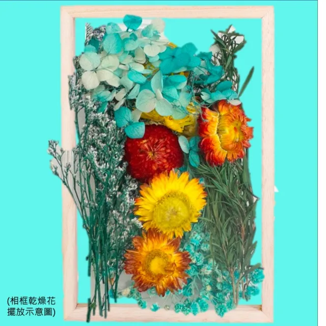 【A-ONE 匯旺】乾燥花材料包 永生花 浮油花 乾燥花DIY 乾燥花藝教學 自然乾燥花材料包 乾燥花材料禮盒(A03)