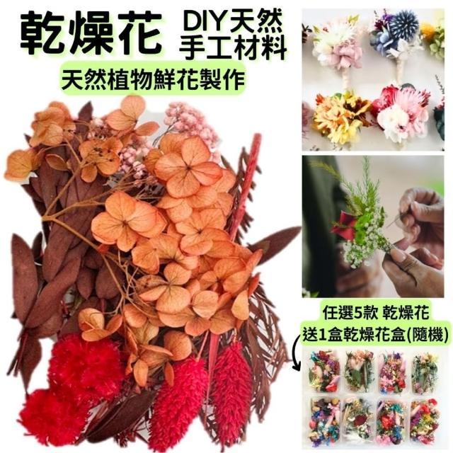 【A-ONE 匯旺】DIY天然乾燥花 永生花材料包 綜合乾燥花盒 香薰蠟燭 香氛片材料 天然乾燥花(A05)