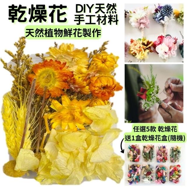 【A-ONE 匯旺】乾燥永生花 不凋滿天星 捧花胸花桌花花材 乾燥花束材料 不凋花玫瑰 鄉村風 拍攝道具(A10)