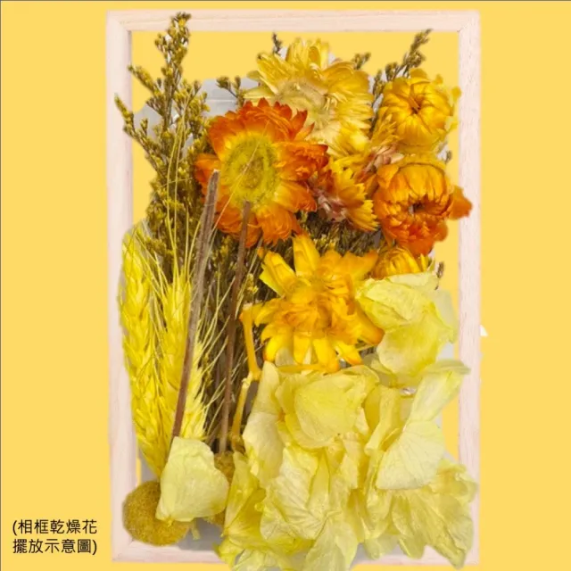 【A-ONE 匯旺】乾燥永生花 不凋滿天星 捧花胸花桌花花材 乾燥花束材料 不凋花玫瑰 鄉村風 拍攝道具(A10)