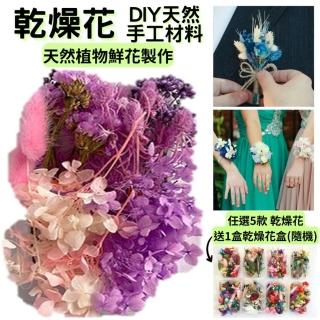 【A-ONE 匯旺】乾燥花束材料包 小卡片 浮游花 乾燥花 永生花 不凋花 花材 材料 裝飾 DIY(B05)