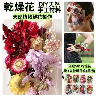 【A-ONE 匯旺】天然乾燥花 隨機出貨 乾花 花藝材料包 永生花 浮油花 植物果實(D01)