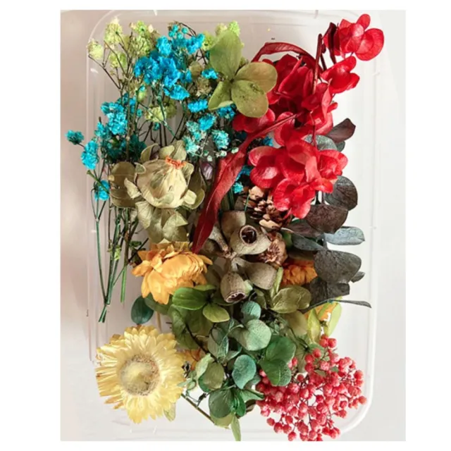【A-ONE 匯旺】天然乾燥花 隨機出貨 乾花 花藝材料包 永生花 浮油花 植物果實(D01)