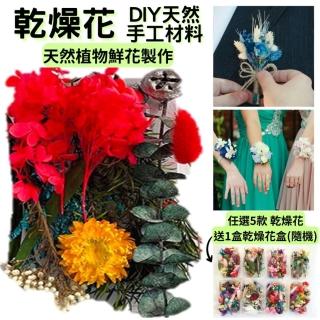 【A-ONE 匯旺】乾燥植物果實 拍照道具 花材 花藝材料包 浮游花 永生花 浮油花 乾花 乾燥花材(B03)