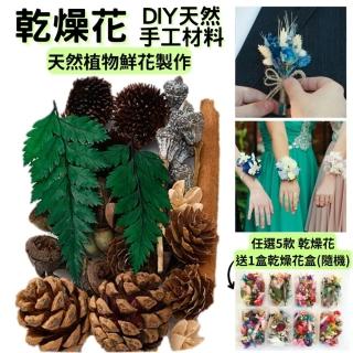 【A-ONE 匯旺】植物果實 松果 拍照道具 花材 花藝材料包 浮游花 永生花 浮油花 乾花 乾燥花材(B12)