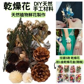 【A-ONE 匯旺】松果 乾花 綜合乾果盒永生花 仿真花 素材 橡實 花瓣 素材 松塔 拍照道具 婚禮(B11)