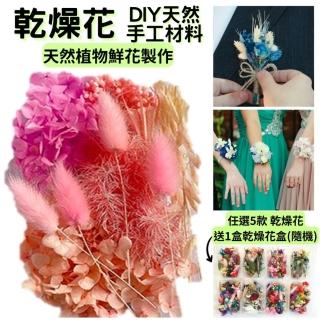 【A-ONE 匯旺】永生乾燥花 不凋繡球 繡球花 木繡球 捧花素材手工卡片 手腕花花材 盆花花材 擴香花材(B09)