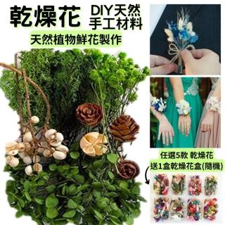 【A-ONE 匯旺】花藝材料 DIY天然乾燥花 材料包 乾燥花材 松果 乾花 永生花 仿真花 素材 橡實(B10)