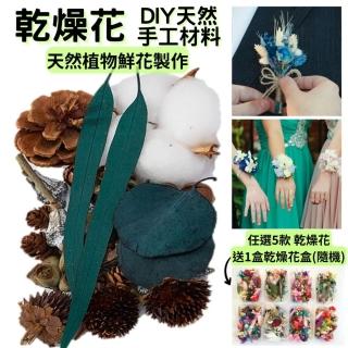【A-ONE 匯旺】乾果花藝 乾花 DIY材料包 天然植物風乾松果 肉桂 棉花 手辦裝飾擺飾 乾燥花(B15)