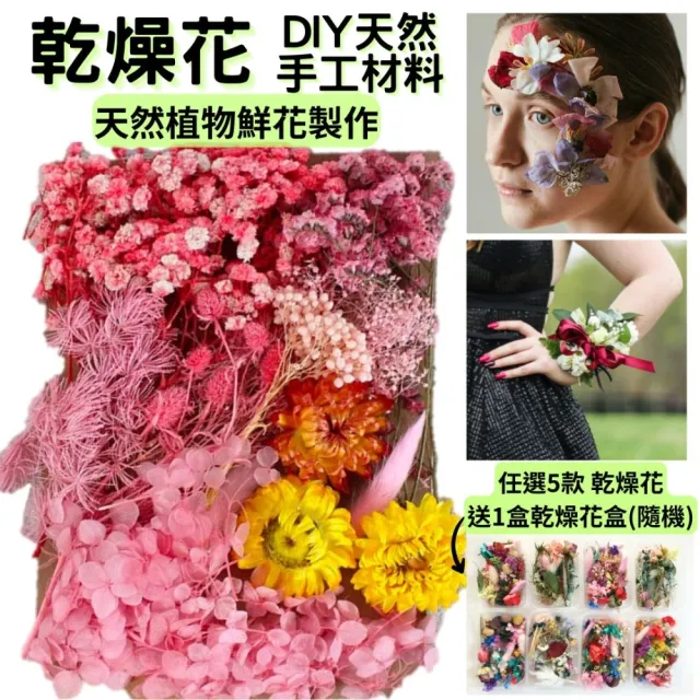 【A-ONE 匯旺】天然乾燥花 材料包 乾燥花材 花藝材料 松果 乾花 永生花 橡實 花瓣 拍照道具 婚禮(C06)