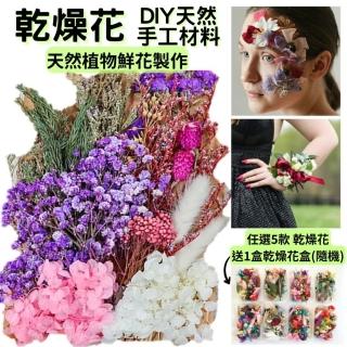 【A-ONE 匯旺】DIY材料包 乾燥花材料包 滿天星 聖誕節 情人節永生花乾燥 乾燥花 浮游花材 教學乾燥花(C03)