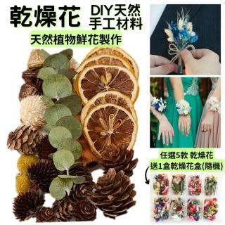 【A-ONE 匯旺】天然乾燥花 柑橘 甜橙 植物果實 繽紛 花材 花藝材料包 浮游花 永生花 浮油花 乾花(B14)