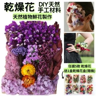 【A-ONE 匯旺】綜合乾燥花盒 超高CP 香薰蠟燭 香氛片材料 天然乾燥花 植物果實 拍照道具 永生花(C04)