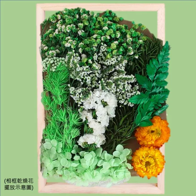 【A-ONE 匯旺】天然乾燥花 植物果實 拍照道具 花材 花藝材料包 浮游花 永生花 浮油花 乾花 乾燥花材(C11)