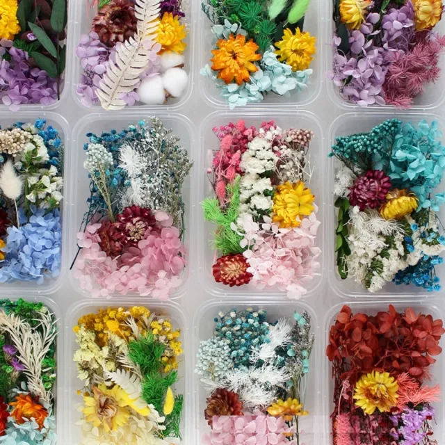 【A-ONE 匯旺】天然乾燥花 植物果實 拍照道具 花材 花藝材料包 浮游花 永生花 浮油花 乾花 乾燥花材(C11)