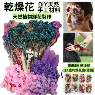 【A-ONE 匯旺】花藝材料包 浮游花 綜合乾燥花 乾燥花 植物標本 森林系 花材材料包 母親節永生花(C12)