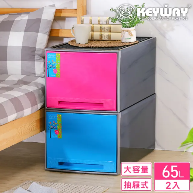 KEYWAY 聯府】雅菲抽屜整理箱65L-2入(收納箱) - momo購物網- 好評推薦
